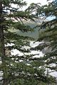 27 - Athabasca Falls - IMG_1068
